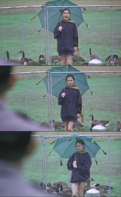 伴你高飞剧照的剧照