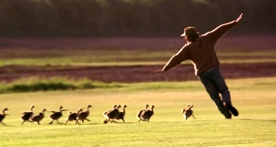 伴你高飞剧照的剧照