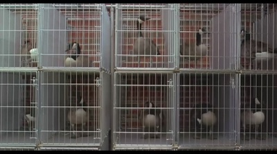 伴你高飞剧照的剧照