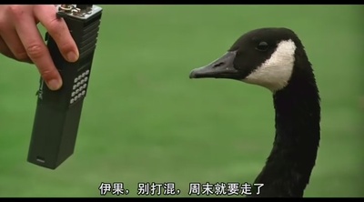 伴你高飞剧照的剧照