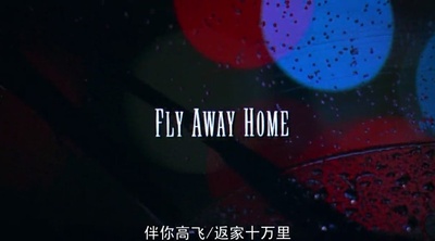 伴你高飞剧照的剧照