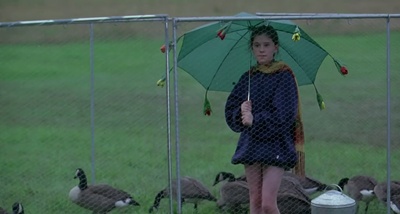 伴你高飞剧照的剧照