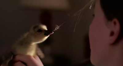 伴你高飞剧照的剧照