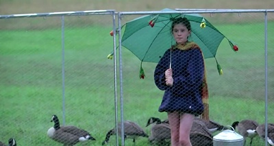 伴你高飞剧照的剧照