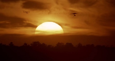 伴你高飞剧照的剧照