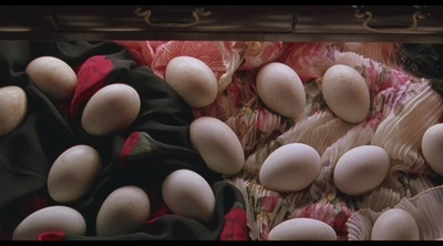 伴你高飞剧照的剧照