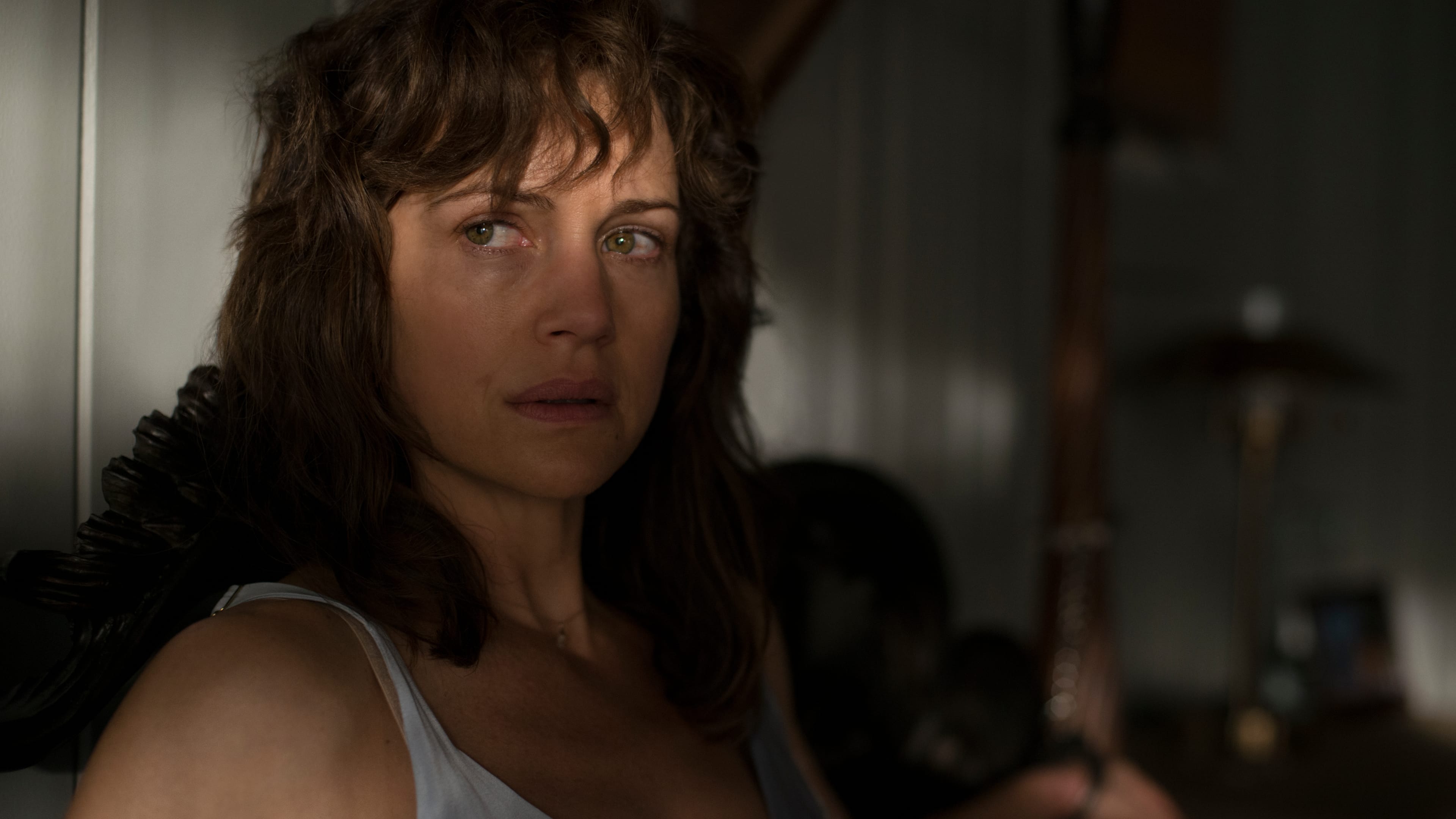 杰罗德游戏剧照的剧照