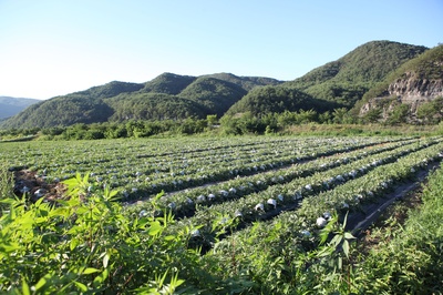 老么剧照的剧照