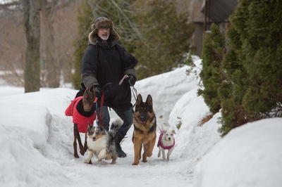 保罗·斯内德的新生活剧照的剧照