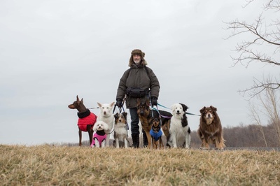 保罗·斯内德的新生活剧照的剧照