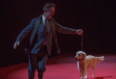 保罗·斯内德的新生活剧照的剧照