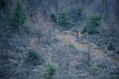 高海拔之恋Ⅱ剧照的剧照