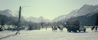 荒野逃生剧照的剧照