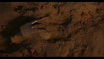 佛莱迪大战杰森剧照的剧照