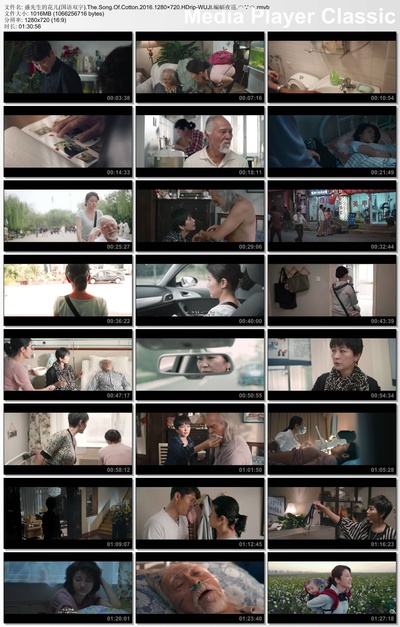 盛先生的花儿剧照的剧照