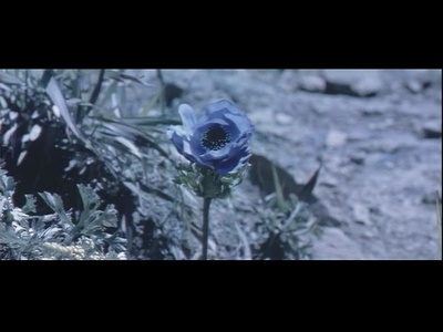 维纳斯宾馆剧照的剧照