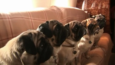 华伦天奴：最后的君王剧照的剧照