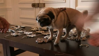 华伦天奴：最后的君王剧照的剧照