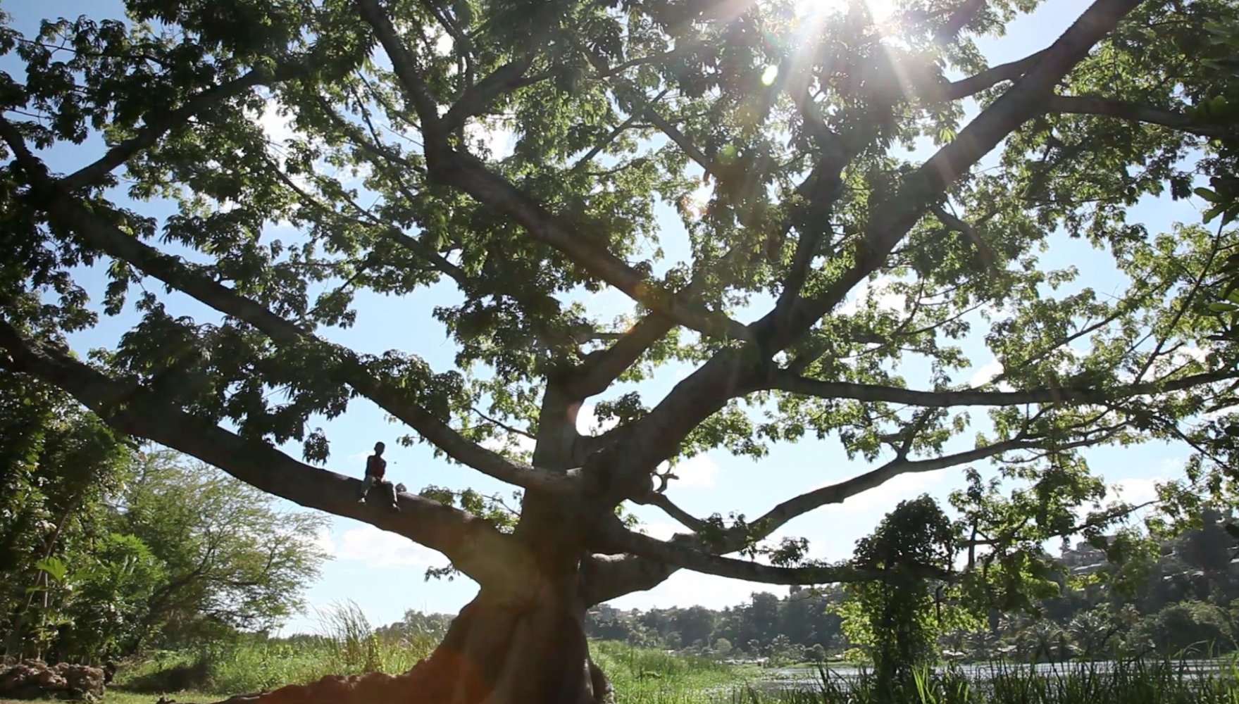 杰弗瑞剧照的剧照
