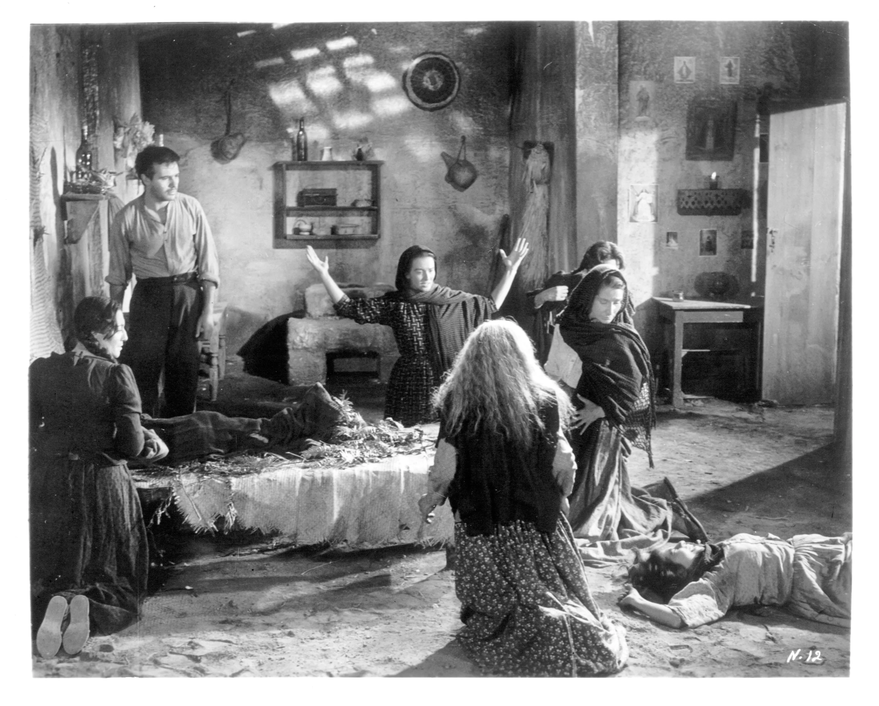 纳萨林剧照的剧照