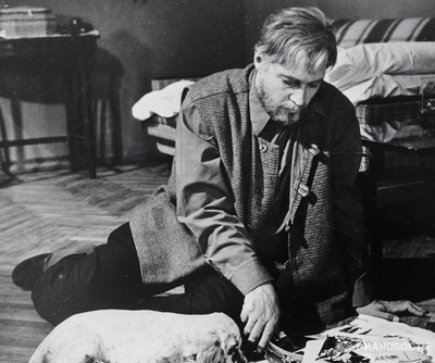 白比姆黑耳朵剧照的剧照