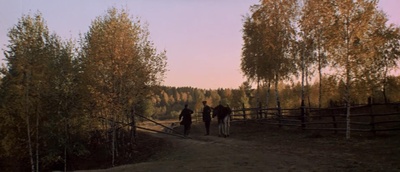 白比姆黑耳朵剧照的剧照