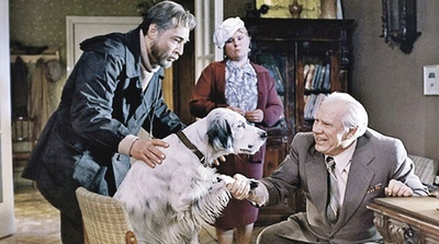 白比姆黑耳朵剧照的剧照