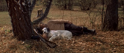 白比姆黑耳朵剧照的剧照