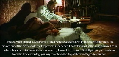 白比姆黑耳朵剧照的剧照