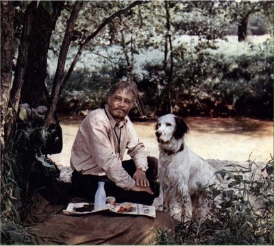 白比姆黑耳朵剧照的剧照