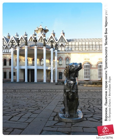 白比姆黑耳朵剧照的剧照