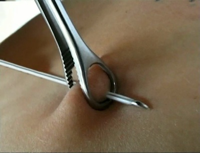 比约克：羊皮卷剧照的剧照