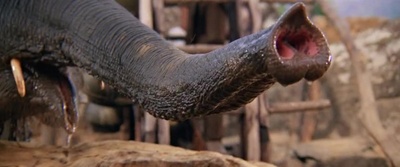 夺宝奇兵2剧照的剧照