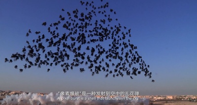 天梯：蔡国强的艺术剧照的剧照