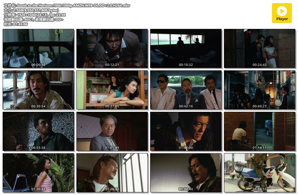 南へ走れ、海の道を!剧照的剧照