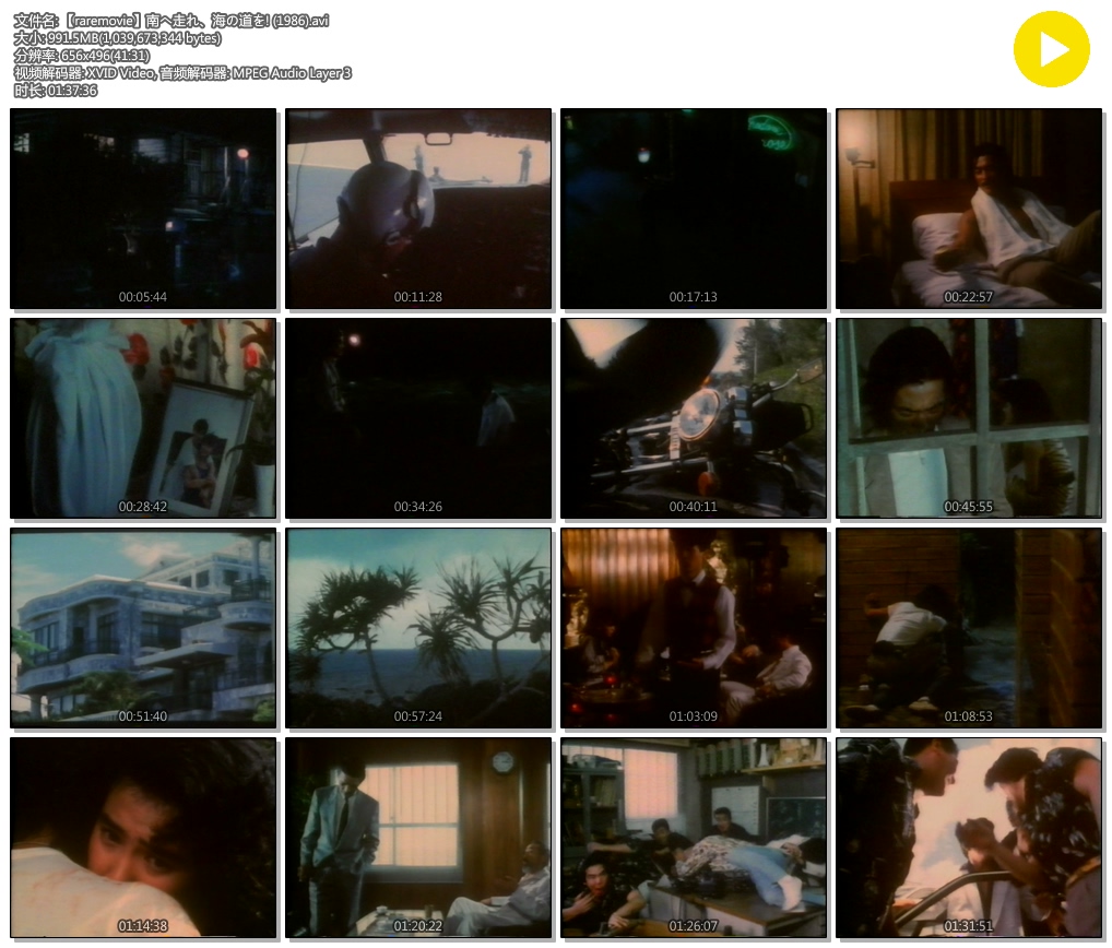 南へ走れ、海の道を!剧照的剧照