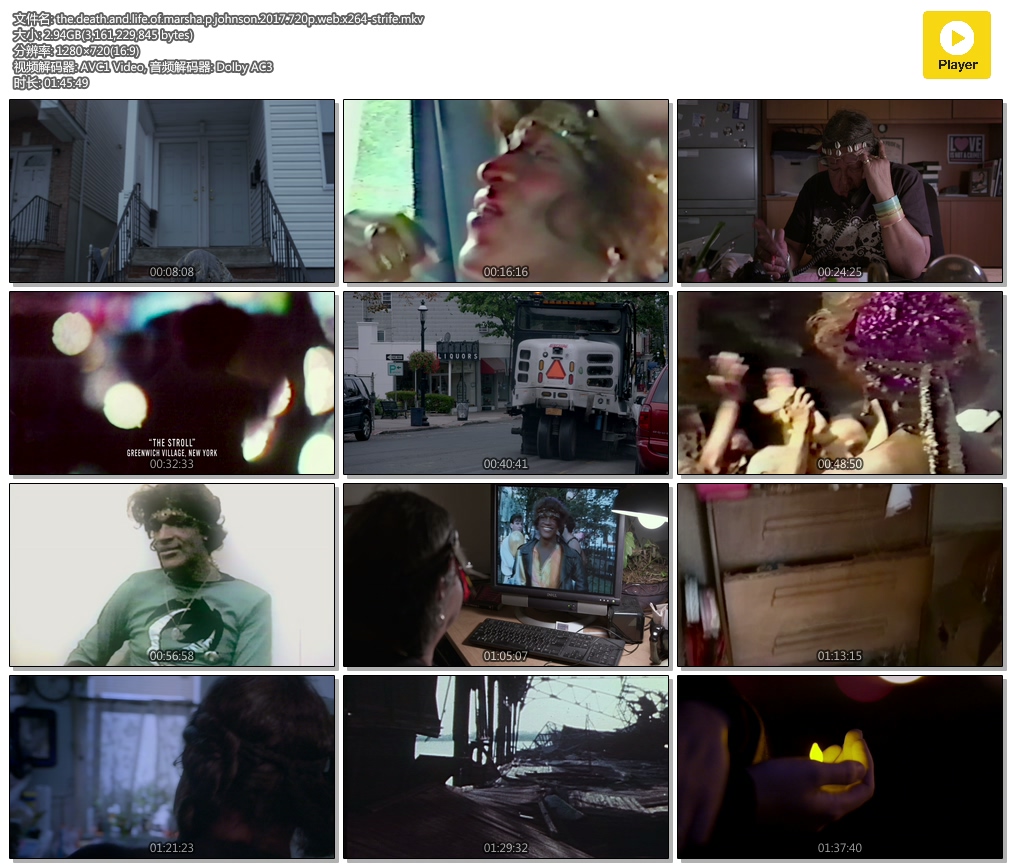 玛莎·约翰逊的死与生剧照的剧照