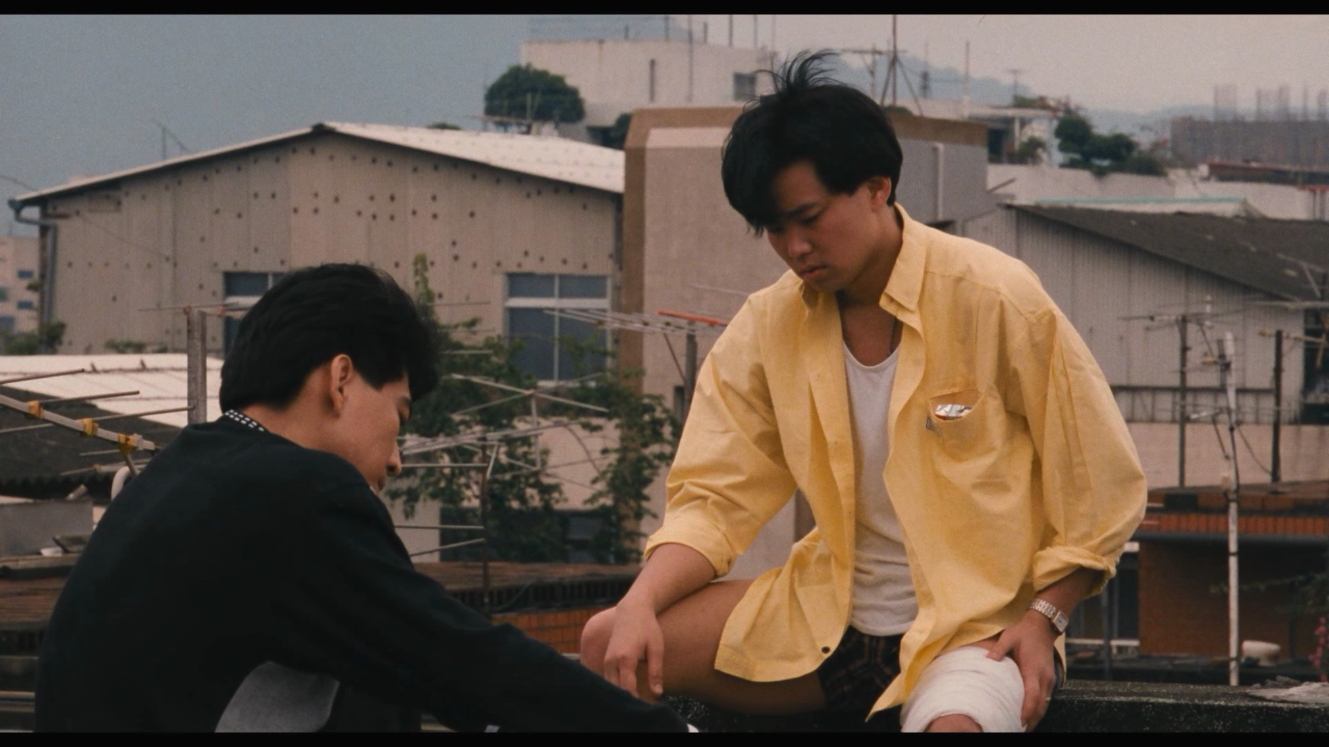 尼罗河女儿剧照的剧照