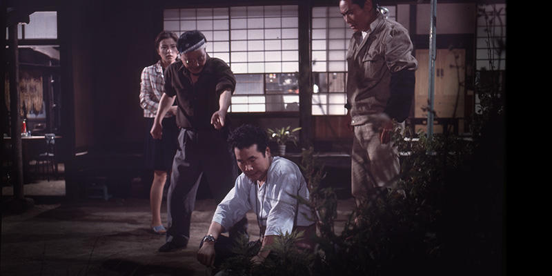 寅次郎的故事1剧照的剧照