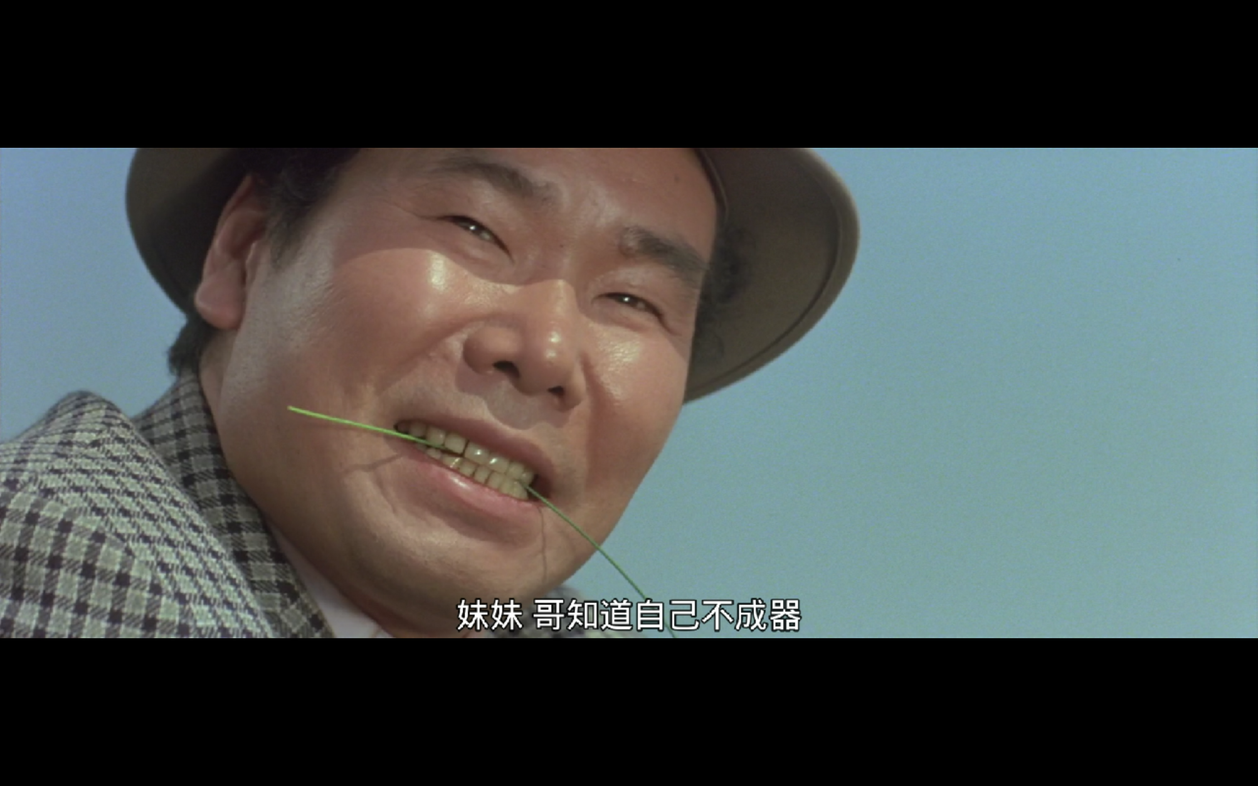 寅次郎的故事1剧照的剧照