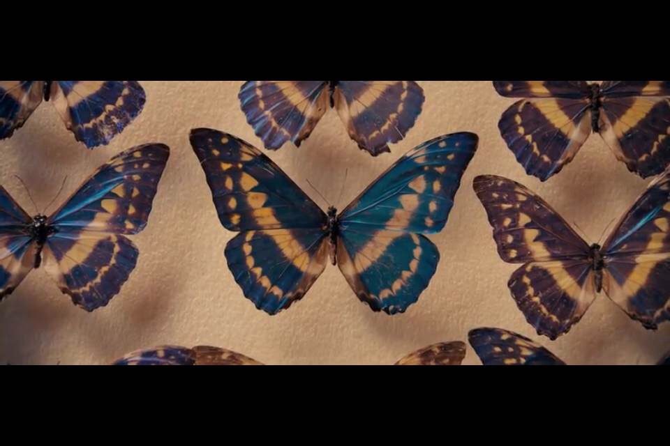 勃艮第公爵剧照的剧照