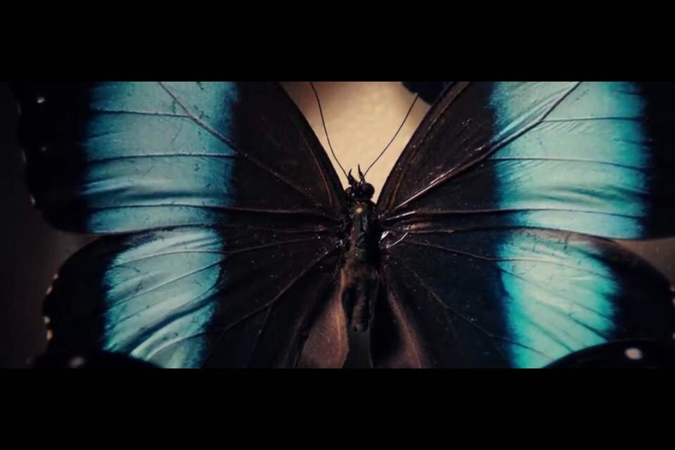 勃艮第公爵剧照的剧照