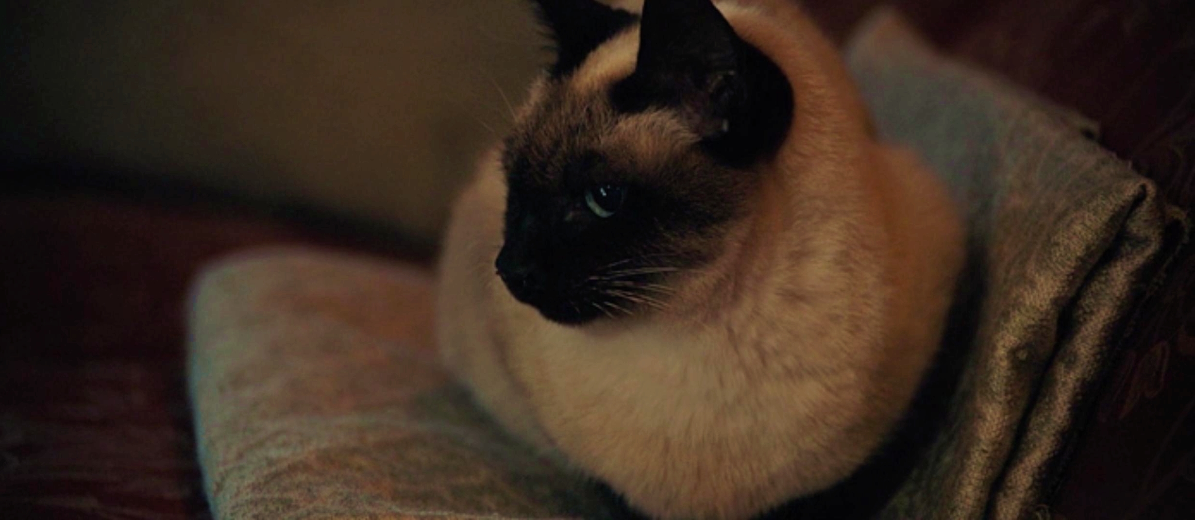 勃艮第公爵剧照的剧照