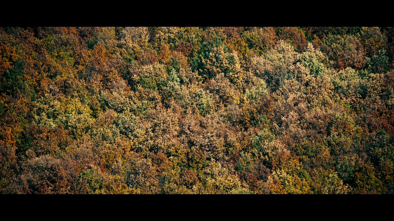 勃艮第公爵剧照的剧照