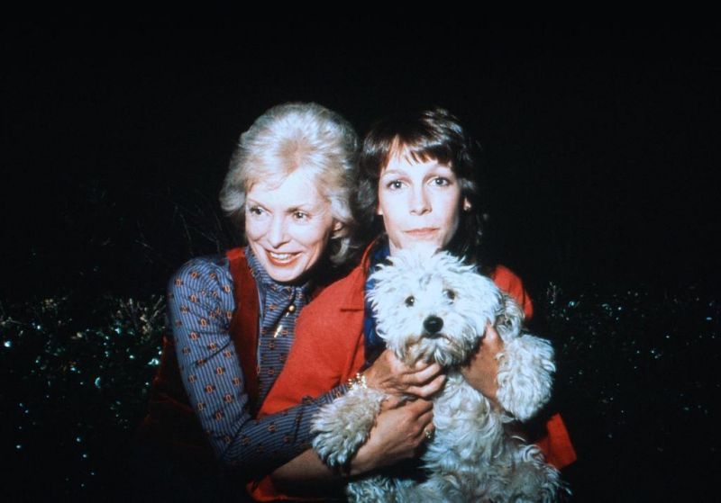 夜雾杀机剧照的剧照