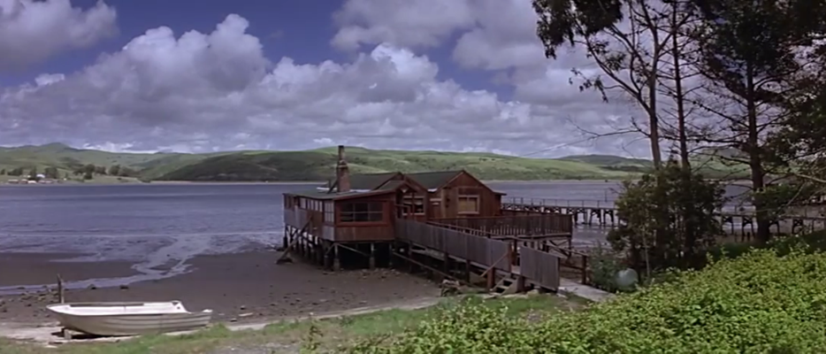 夜雾杀机剧照的剧照