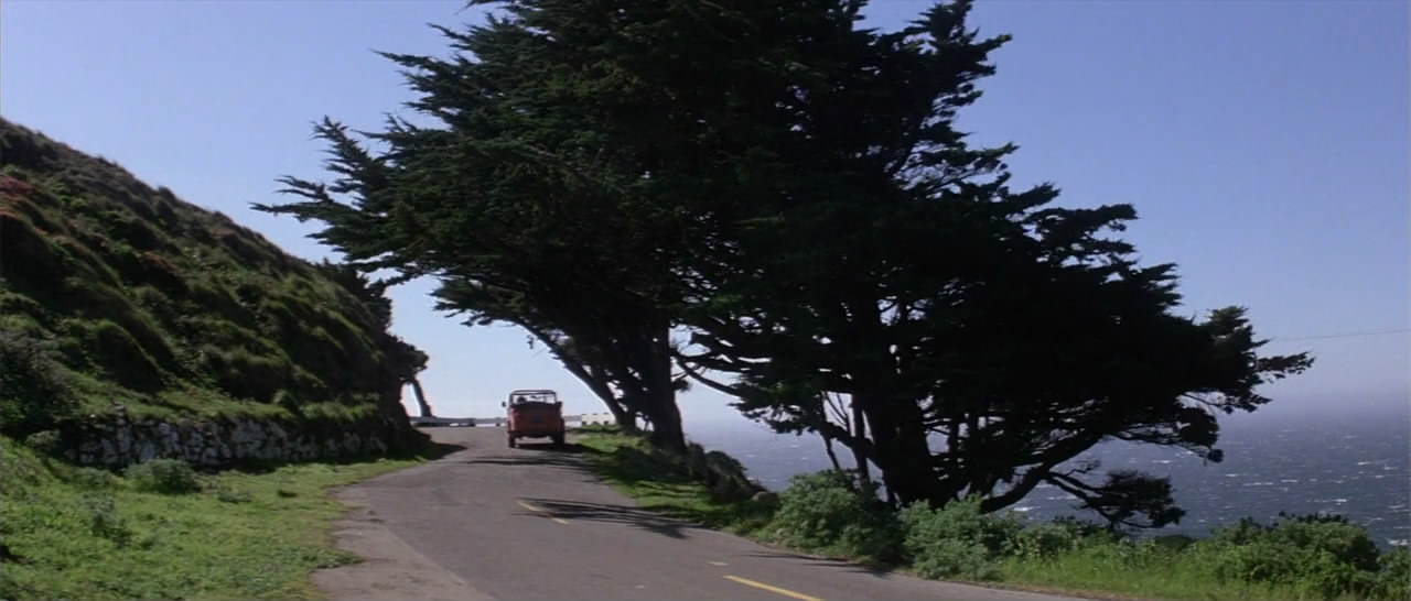 夜雾杀机剧照的剧照