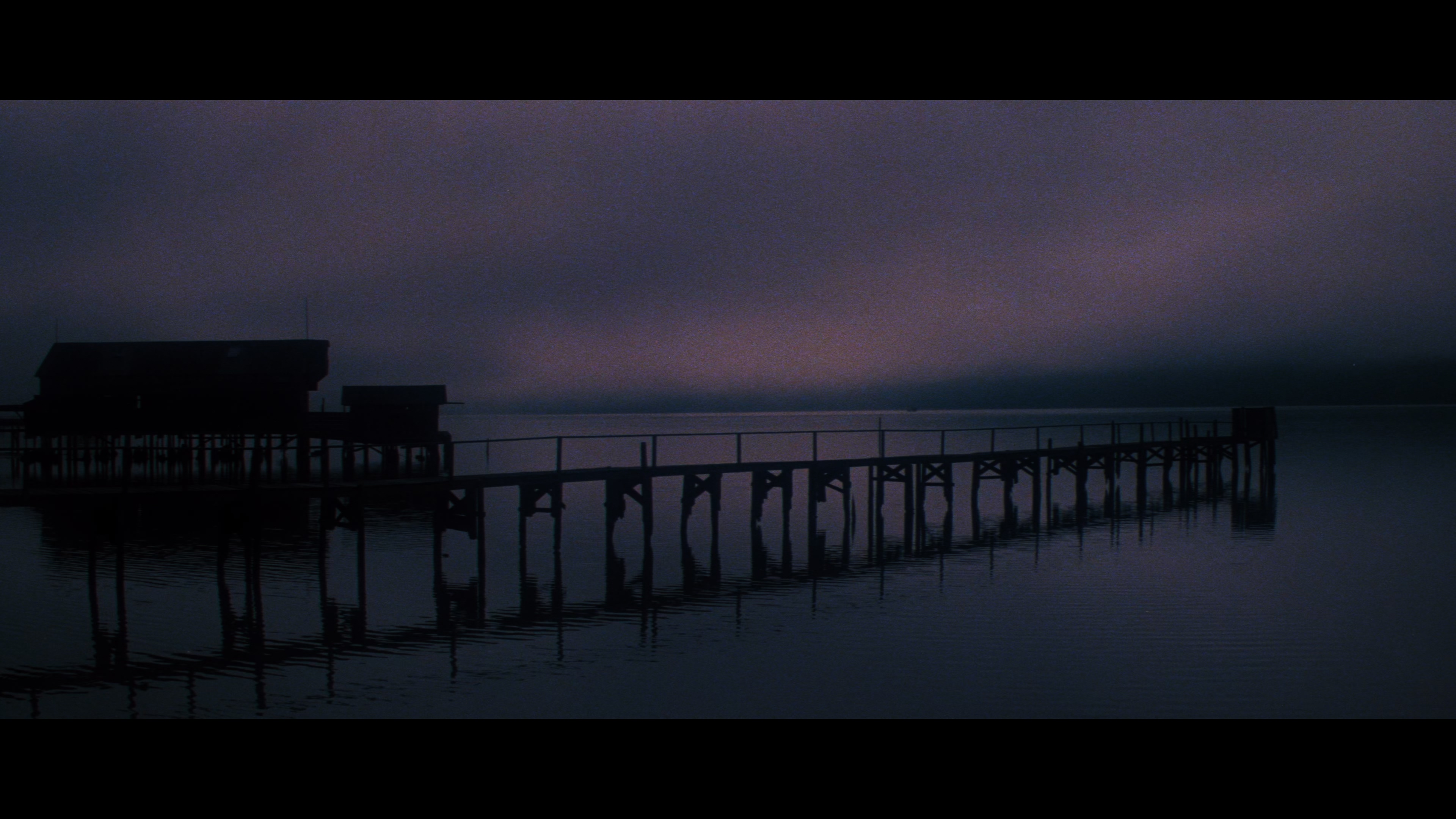 夜雾杀机剧照的剧照