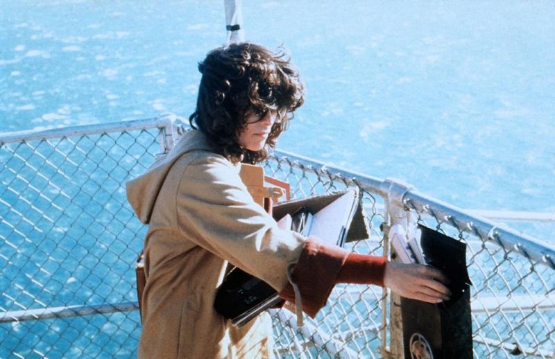 夜雾杀机剧照的剧照