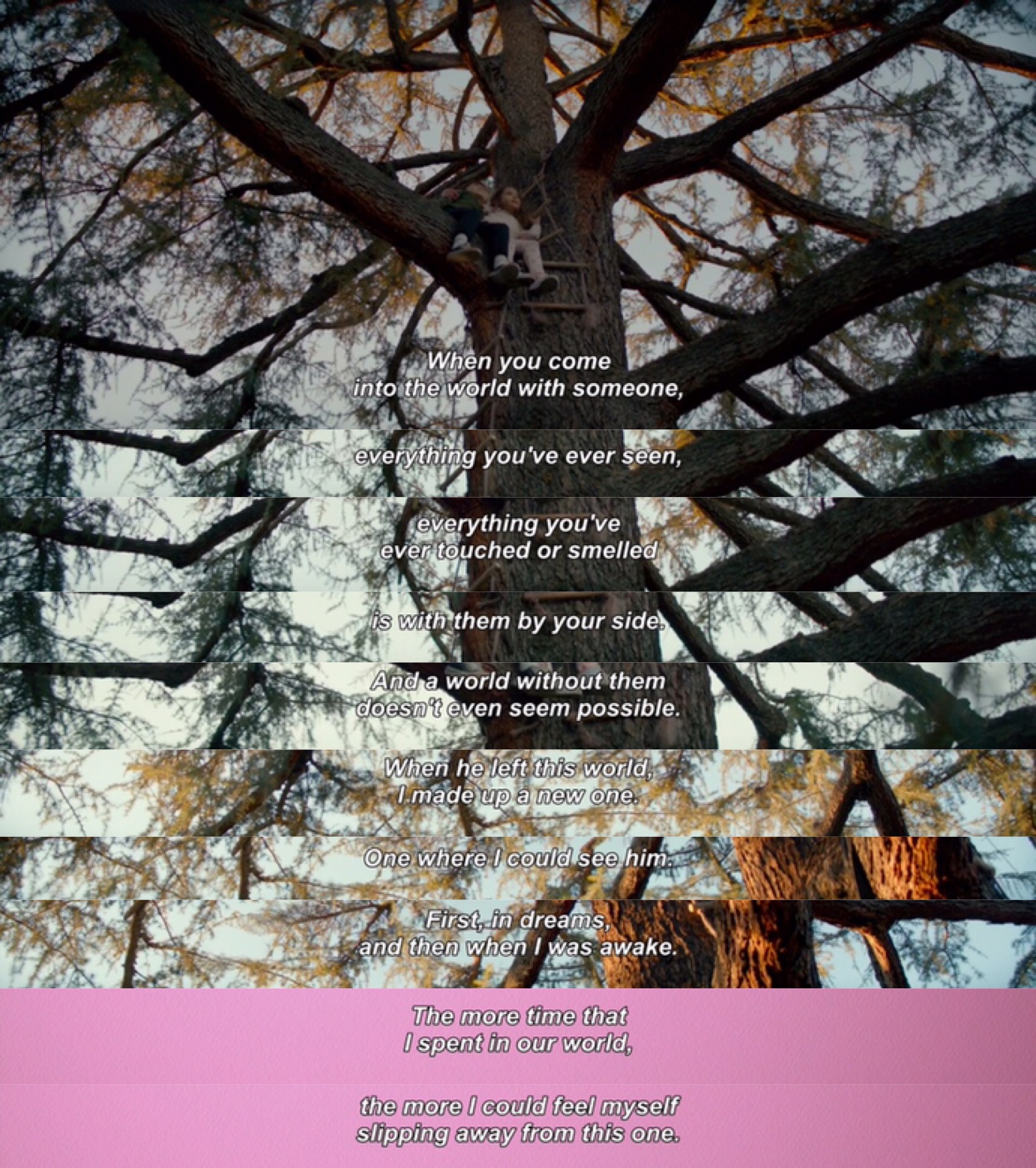 填满剧照的剧照